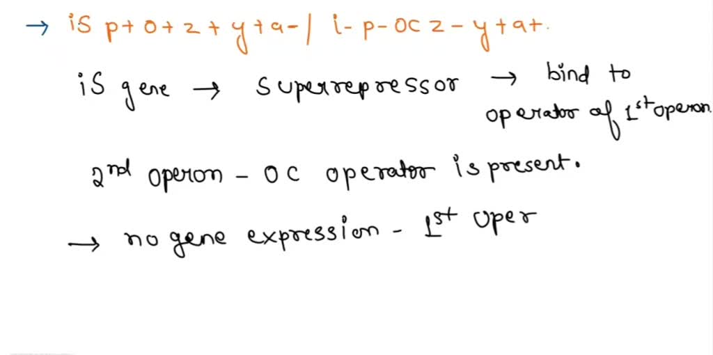 Sprawdzian Gimnazjalizty Z 2015 16 Operon SOLVED: QUESTION 16 "The following are genotypes of merozygotes of E