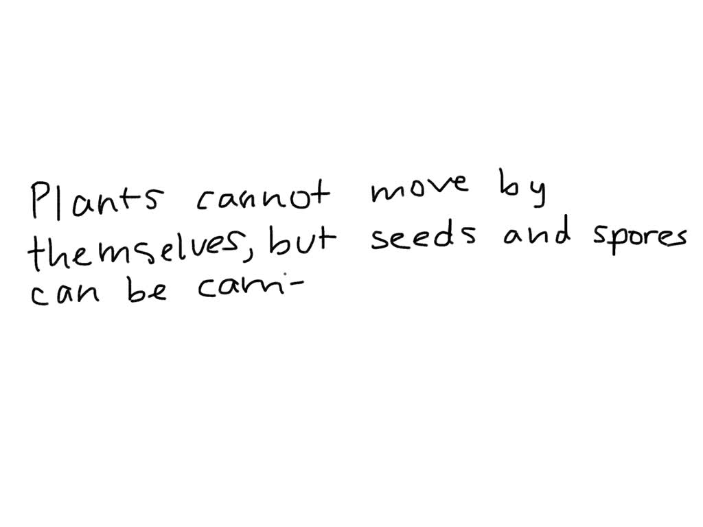 Why Do Plants Need The Sun Sciencing vrogue.co