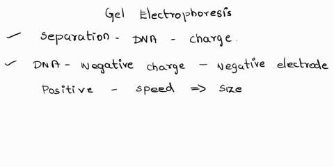 what-is-gel-electrophoresis-what-is-its-role-in-dna-fingerprinting-18451