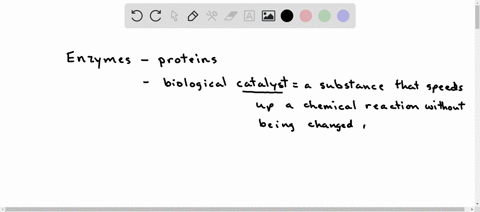 which-of-the-following-is-not-a-property-of-enzymes-enzymes-are-permanently-modified-during-the-reactions-they-catalyze-enzymes-increase-the-rate-of-reactions-by-reducing-their-activation-en-58796