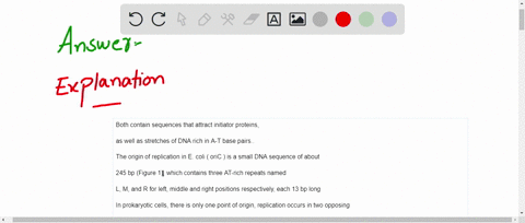 discuss-two-similarities-and-two-differences-between-e-coli-origins-of-replication-and-yeast-ars-sequences-80352