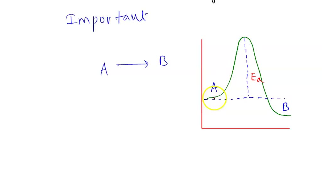 SOLVED Enzymes are potent catalysts because they a. are consumed in
