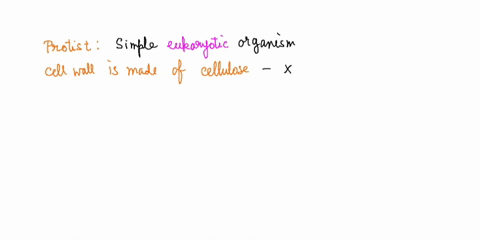 which-of-the-following-is-true-for-all-protists-multiple-choice-protist-cell-walls-are-composed-of-cellulose-protists-are-all-heterotrophic-protists-are-eukaryotic-organisms-that-are-not-pla-47982
