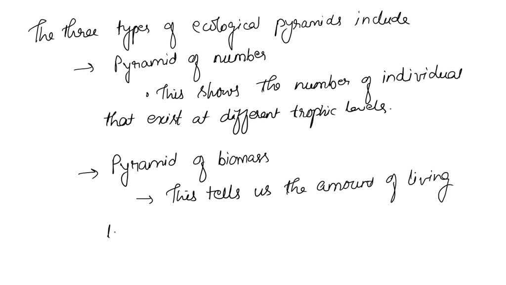 solved-what-are-the-three-types-of-ecological-pyramids-explain-how