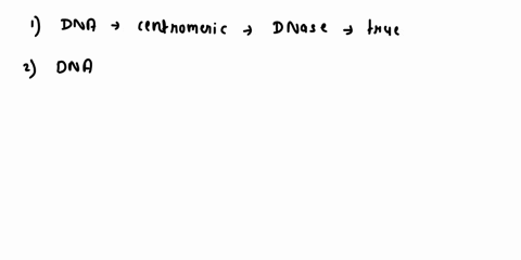 the-encyclopedia-of-dna-elements-encode-project-aims-discover-functiona-ements-in-dna-one-technique-employed-is-dnase-seq-this-technique-employs-dnase-enzyme-that-digests-accessible-regions-98319