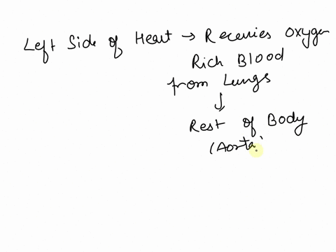 1-the-left-side-of-the-heart-carries-blood-to-the-lungs-and-the-right-side-of-the-heart-carries-blood-to-the-rest-of-the-body-true-or-false-82526