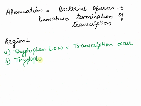 attenuation-of-trp-operon-transcription-controlled-by-the-formation-of-stem-loop-structures-in-mrna-tthe-attenuation-function-can-be-disrupted-by-mutations-that-alter-the-sequence-of-repeat-60697