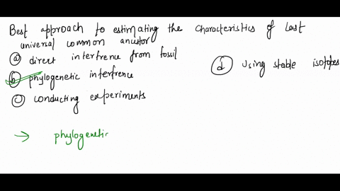 what-is-the-best-approach-to-estimating-the-characteristics-of-the-last-universal-common-ancestor-a-direct-inference-from-fossils-b-phylogenetic-inference-c-conducting-experiments-to-recreat-85727