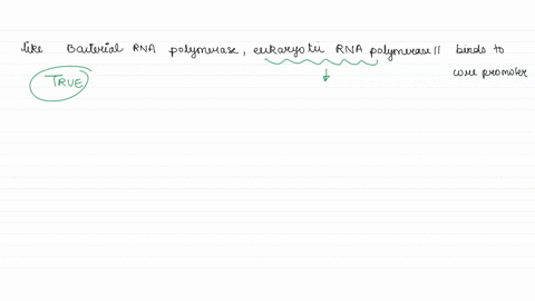 like-bacterial-rna-polymerase-eukaryotic-rna-polymerase-iidirectly-binds-to-core-promoters-true-or-false-briefly-explain-68675