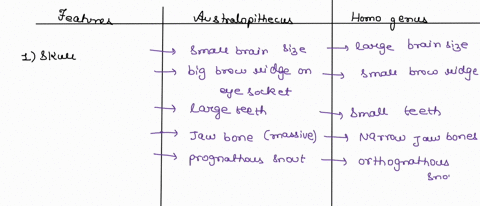 what-are-the-anatomical-features-that-differentiate-the-genus-homo-from-earlier-hominins-like-australopiths-describe-at-least-one-skeletal-feature-for-each-of-the-following-regions-of-the-bo-77963