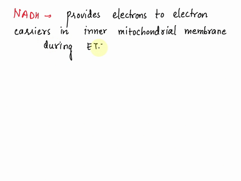 the-electron-transport-chain-in-the-mitochondria-captures-the-energy-released-from-nadh-to-1-pump-hydrogen-ions-against-their-gradient-2-make-water-3-directly-make-atp-allow-hydrogen-ions-to-17492
