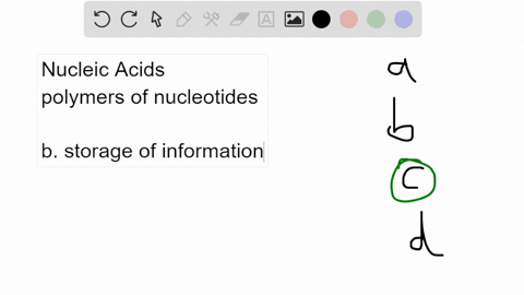 this-nucleic-acid-is-typically-involved-in-energy-reactions-in-a-cell-a-rna-b-dna-c-atp-d-all-of-the-34365