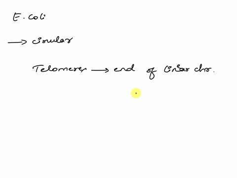 why-do-e-coli-chromosomes-not-have-telomeres-81448