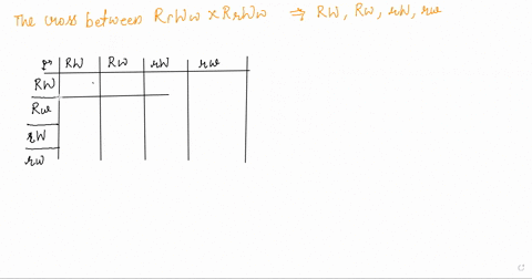 construrt-a-punnett-square-explain-the-results-of-the-parental-doss-for-both-mutations-according-to-this-punnett-square-what-are-the-expected-phenotypk-ratios-of-the-generation-assign-upperc-23598
