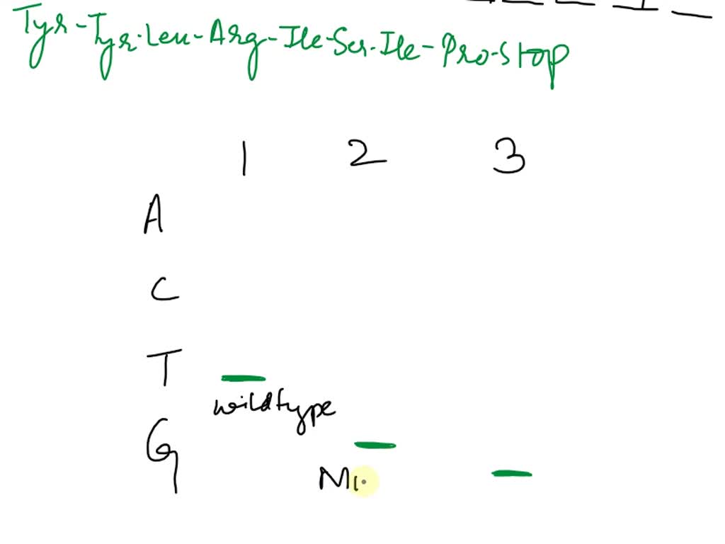SOLVED The DNA sequencing chromatogram below is for a patient's father