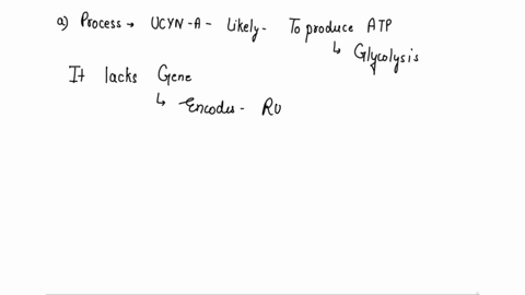 cyanobacteria-are-a-large-group-of-prokaryotic-organisms-cyanobacteria-are-found-in-marine-microbial-mats-that-include-many-species-of-eukaryotic-and-prokaryotic-organisms-that-can-participa-28568