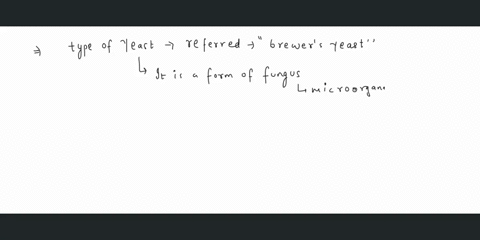 which-type-of-yeast-is-referred-to-as-brewers-yeast-candida-insectamens-brettanomyces-bruxellensis-saccaromyces-cerevisiae-sporidiobolus-johnsonii-question-10-1pts-fungi-are-ecologically-imp-60858