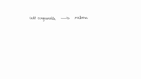 the-ribosome-is-made-up-of-protein-and-select-one-a-mrna-histones-rrna-dna-trna-21404