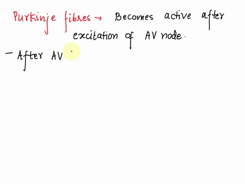 in-the-normal-excitation-sequence-the-structure-activated-just-after-the-av-node-is-the-a-ventricular-muscle-b-purkinje-fibers-c-common-atrioventricular-bundle-of-his-d-sa-node-e-atrial-musc-57363