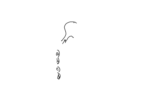 all-of-the-following-are-content-of-the-vertebral-compartment-of-the-neck-except-a-vagus-nerves-b-cervical-nerves-c-spinal-cord-d-longus-capitis-muscle-2