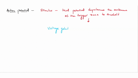 alscr-16-place-these-steps-of-the-action-potential-in-the-correct-order-sodium-ions-channels-voltage-return-to-the-resting-state-and-repolarization-continues-depolarizee-gated-sodium-ion-cha-21913