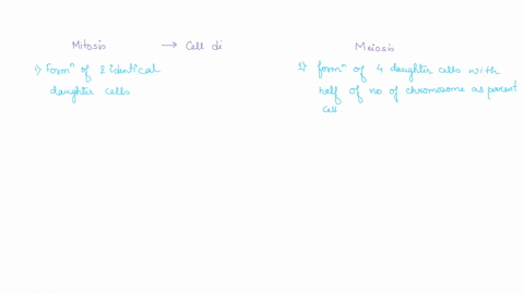 6-what-are-the-differences-between-mitosis-and-meiosis-25106