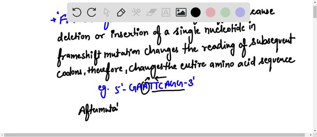 Solved Which Type Of Mutation Has A Larger Effect A Point Mutation Or