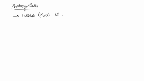 the-electrons-that-are-used-in-the-calvin-cycle-reactions-during-photosynthesis-originally-came-from_-atp-nadph-co2-h2o-glucose-09366