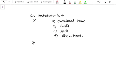 which-of-the-following-bones-is-are-formed-by-intramembranous-ossification-a-the-metatarsals-b-the-f-76643