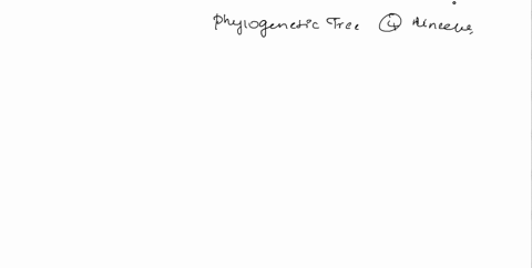 a-label-the-phylogenetic-tree-of-the-4-major-lineages-of-land-plants-inferred-from-dna-sequence-data-and-discussed-in-class-label-the-following-groups-of-plants-bryophyta-pteridophyta-anthop-34966