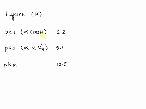 phenylalanine-tyrosine-tryptophan-lysine-arginine-histidine-aspartate-glutamate-22-25-92-105-105-125-20-hhe-material-from-this-page-is-on-the-document-called-aa-and-june-14-june-14-pages-whi-76916