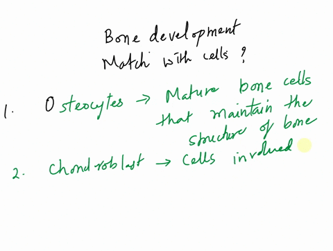 m3-ch5-q2-bone-tissue-2-of-18-part-a-match-the-components-of-bone-tissue-to-their-descriptions-view-available-hints-hint-1_-hint-review-cells-involved-in-bone-development-and-maintenance-res-32432