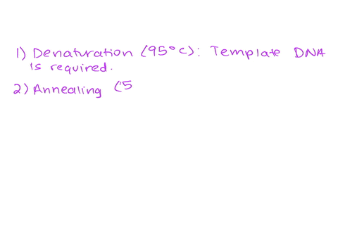 a-standard-pcr-cycle-includes-three-steps-denaturation-95ac-annealing-55ac-and-elongation-65ac-drag-each-ingredients-of-a-pcr-reaction-into-the-bin-labeled-with-the-step-in-the-pcr-cycle-in-19386