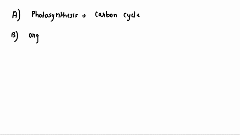 in-the-carbon-cycle-decomposition-by-bacteria-causes-the-a-absorption-of-reactants-for-photosynthesis-b-conversion-of-inorganic-carbon-into-organic-matter-c-release-of-carbon-dioxide-from-or-20301
