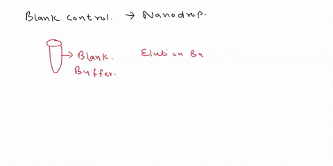 why-is-it-important-to-use-a-blank-control-prior-to-loading-your-sample-on-the-nanodrop-35453