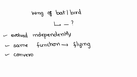 bird-arms-and-bat-arms-are-the-examples-of-a-homologous-organs-b-analogous-organs-c-vestegial-organs-d-none-of-these-95796