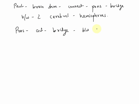 question-56-which-of-the-following-parts-of-the-brainstem-extends-into-the-pons-and-serves-as-a-bridge-between-the-two-hemispheres-of-the-cerebellum-a-spinal-cord-b-medulla-c-diencephalon-d-07856