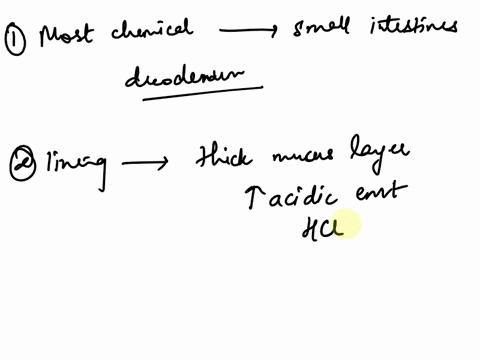 1-where-does-most-chemical-digestion-take-place-in-a-human-2-why-is-absorption-across-the-lining-of-the-stomach-difficult-for-most-chemicalsnutrients-3-how-is-the-small-intestine-adapted-for-35285