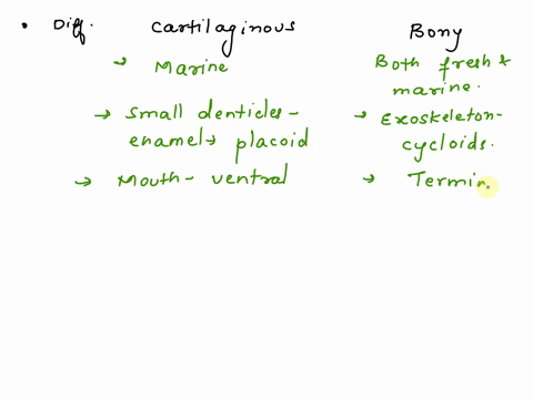 cartilaginous-fish-have-several-differences-in-their-external-anatomy-from-bony-fishes-name-and-explain-three-cartilaginous-fish-have-several-differences-in-their-internal-anatomy-from-bony-60797