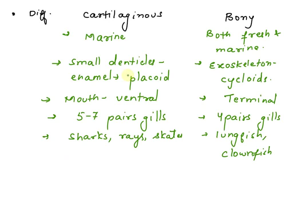 SOLVED Cartilaginous fish have several differences in their external