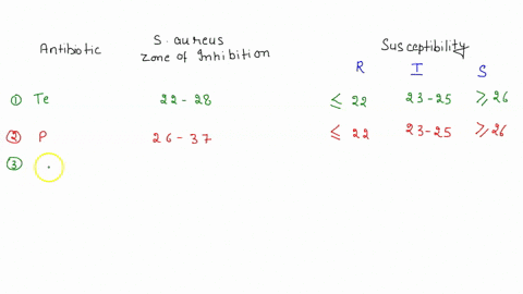 experiment-19-lab-report-0bservations-part-a-around-the-disks-and-indicate-whether-the-measure-the-diameter-of-clear-zone-of-inhlbition-that-the-result-ordanism-resistant-5-intermediate-i-th-25475