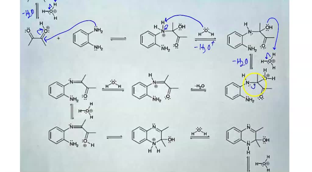 Solved: Please Draw The Mechanism For The Reaction Below And Classify 