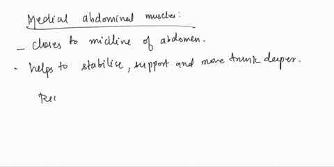 question-98-1pts-the-most-medial-of-the-abdominal-muscles-are-the-muscles-o-external-oblique-o-tendinous-intersections-o-transversus-abdominis-ointernal-oblique-rectus-abdominis-12058