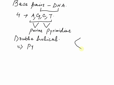how-will-changes-in-the-base-pairs-affect-the-structure-of-dna-10306