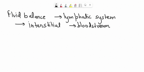 list-3-functions-of-the-lymphatic-system-and-explain-why-it-is-important-and-remember-it-is-separate-from-the-immune-system-52884