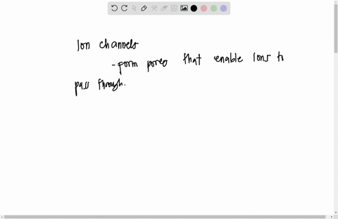 which-of-the-following-statements-about-ion-channels-is-incorrect-channel-proteins-can-have-open-or-closed-configurations-compared-to-carrier-proteins-channel-proteins-allow-much-faster-tran-58503