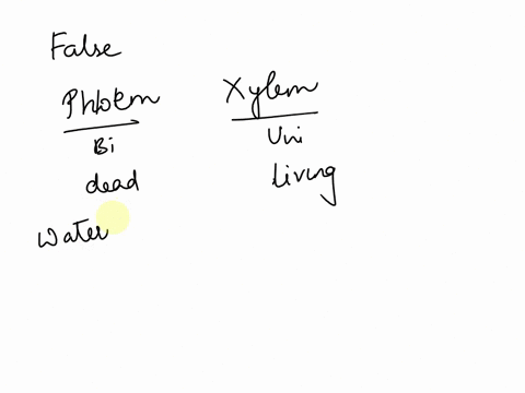 question-17-1-point-listen-identify-the-false-statement-the-phloem-can-bidirectionally-transport-material-while-the-xylem-can-only-unidirectionally-transport-material-the-xylem-is-responsibl-61036