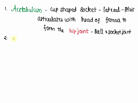 what-is-the-name-of-the-joint-surface-in-the-hip-for-the-femur-bone-types-of-lower-extremities-number-of-bones-presentlower-extremity-1-2-3-4-5-6-7-note-individual-names-of-tarsals-metataral-14371