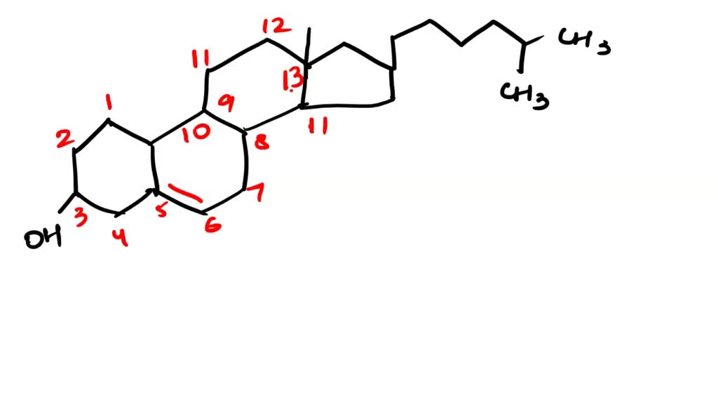 SOLVED Which will be a characteristic of a steroid that is part of a