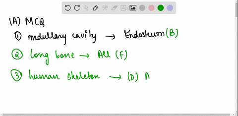 multiple-choice-only-one-response-is-correct-the-inner-lining-of-the-medullary-cavity-is-made-of-cancellous-bone-called-the-periosteum-called-the-endosteum-both-and-c-are-corect-answers-whic-98234
